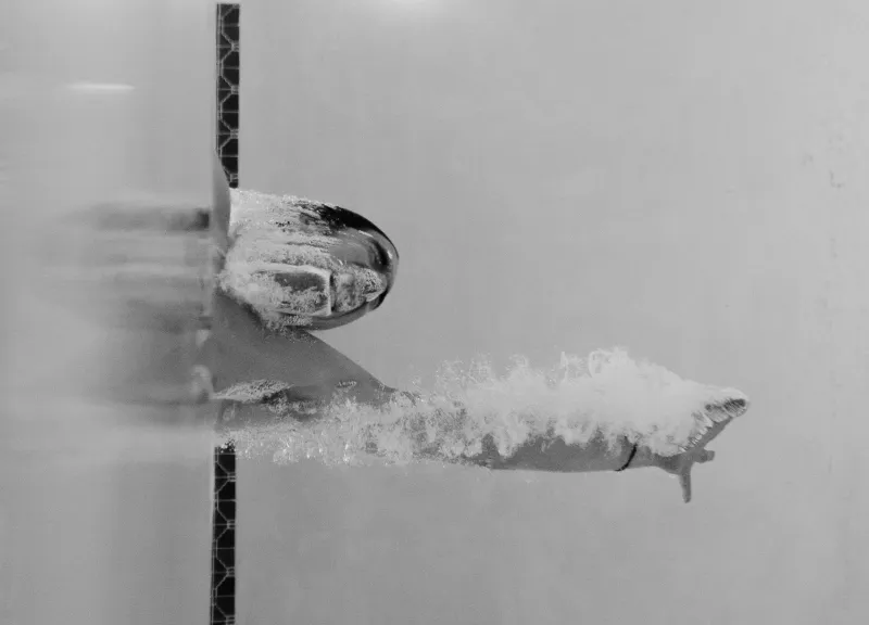 The Hidden Engine: How Your Dolphin Kick Is Quietly Deciding Every Race You Swim
